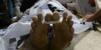 کیچ: اپسار ڈور آن جون اس خننگا