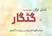 شئر تران: گٹکار کیک | زید زیدی