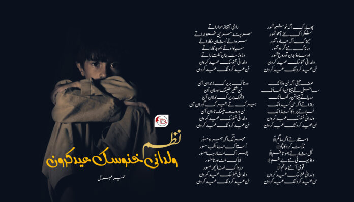 نظم