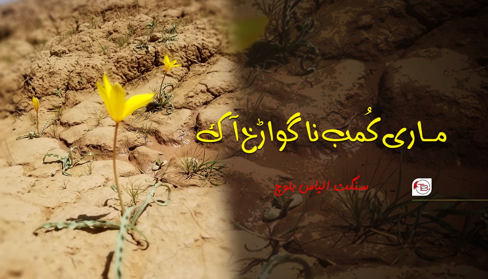 ماری کُمب نا گواڑخ آک – سنگت الیاس بلوچ