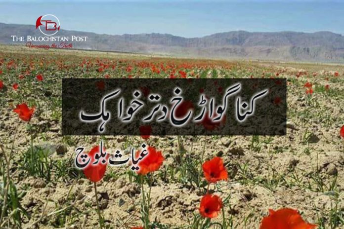 Balochistan-Salam-sabir-1068x712