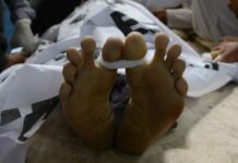 کیچ: اپسار ڈور آن جون اس خننگا